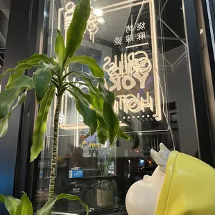 a plant in front of a window