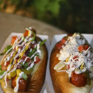two hot dogs with toppings
