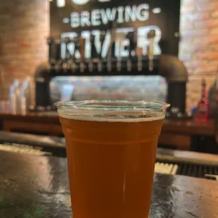 a beer in a plastic cup