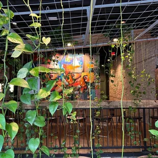 a view of a bar with plants growing from the ceiling