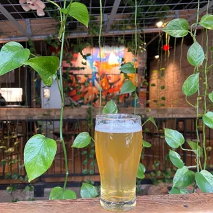 a glass of beer on a wooden table