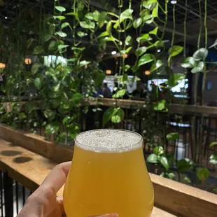 Enemies of The Night