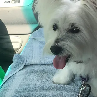 My life would never be the same without my girl.