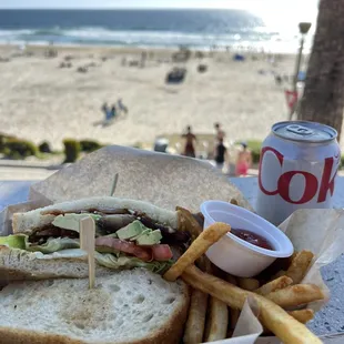 BLTA, upcharged fries, can of Diet Coke