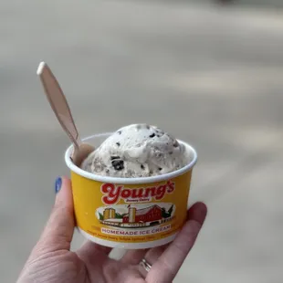 Smores and cookies mashup ice cream