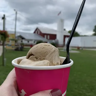 2-scoop ice cream in a cup