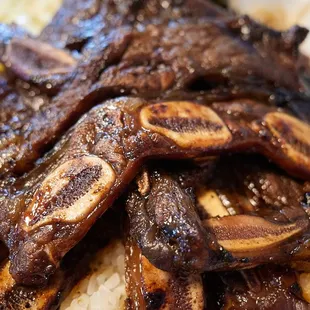 Regular kalbi (vs big bone)