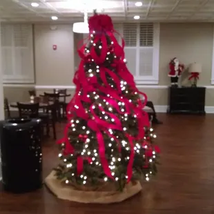 All ready for Christmas.