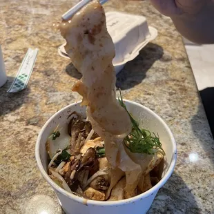 Mushroom/tofu noodles