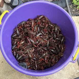 Washed up and ready for supper