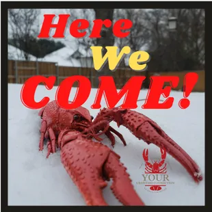 The 2023 Begins 2/10/23!
www.yourcrawfishconnection.com