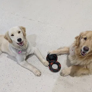 Tuli and Gordon, best friends!
