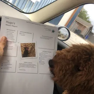Hugo&apos;s Mission Report!