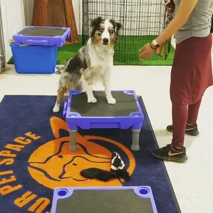 Murphy, Klimb training in Mission Discovery Daycare.  :)