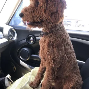Hugo