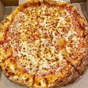 Medium Cheese Pizza