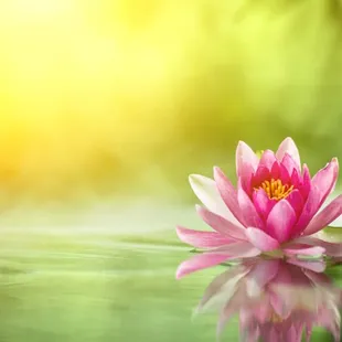 Enjoy a Reiki treatment at Your Salon and Spa!