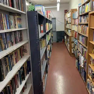 School, college, fiction, LGBTQ and so much more your heart can content with.