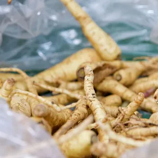 1st Annual Youth Science Institute (YSI) Earth Day Celebration at Alum Rock Park