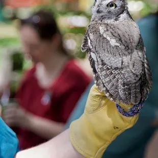 1st Annual Youth Science Institute (YSI) Earth Day Celebration at Alum Rock Park