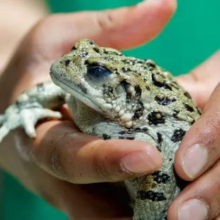 1st Annual Youth Science Institute (YSI) Earth Day Celebration at Alum Rock Park
