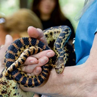 1st Annual Youth Science Institute (YSI) Earth Day Celebration at Alum Rock Park