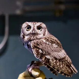 1st Annual Youth Science Institute (YSI) Earth Day Celebration at Alum Rock Park