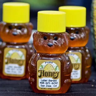 1st Annual Youth Science Institute (YSI) Earth Day Celebration at Alum Rock Park