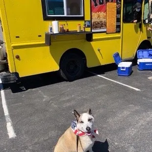 Wesson waiting for his tasty sample hot dog  ;)