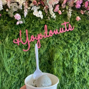 Cookies and cream, 1 scoop cup