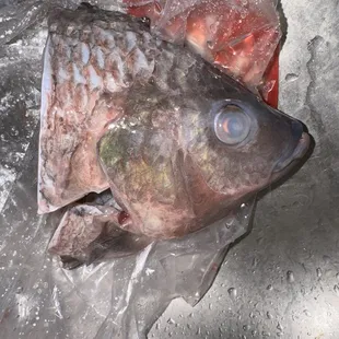 Dead old tilapia they packed us when it's supposed to be live