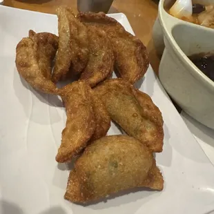 Fried Dumplings