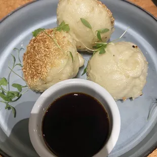 Fried Pork Dumpling