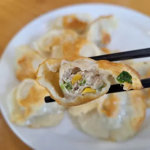 corn & chicken potsticker inside