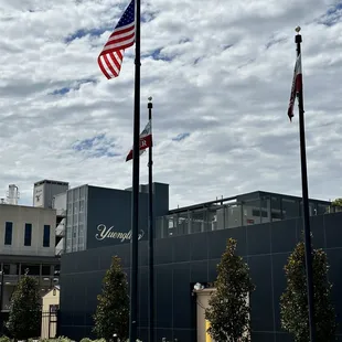 a flag flying in front of a building