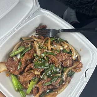 Mongolian Beef
