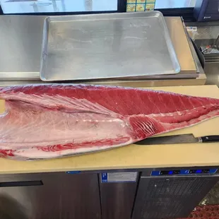 Fresh Blue Fin Tuna