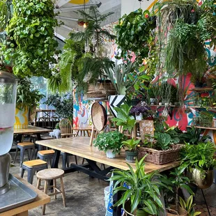 The most beautiful restaurant in town