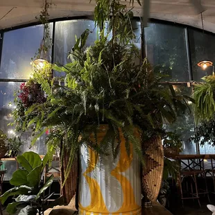 Inside, plants everywhere. It's like eating in the Amazon