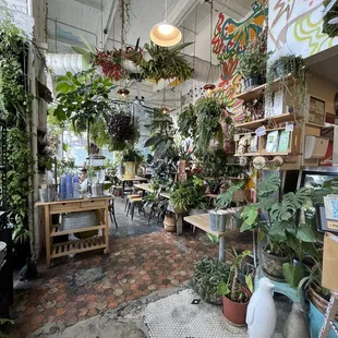 cute indoor area, filled w plants. feels like you're in a magical garden!