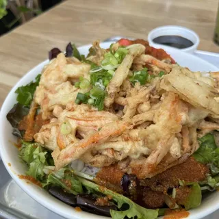 Shrimp Kakiage Tempura Rice Bowl