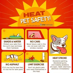 Don't forget to protect your pet from the heat this weekend!