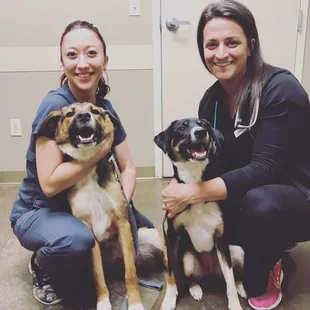 These babies need a home!