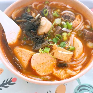 Spicy Beef Noodle Soup