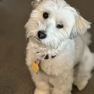 Ben S.