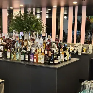 a bar with a variety of liquors