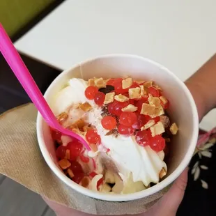 a person holding a bowl of yogurt