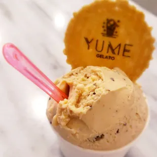 Vegan Peanut Butter Chocolate Chip Gelato. Hell yes.