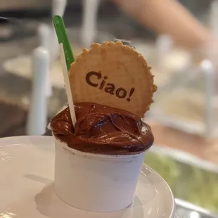 Small gelato with two flavors.