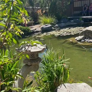 Koi pond ..